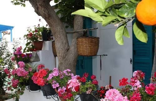 Studios Tasia Appart hôtel Ágios Prokópios